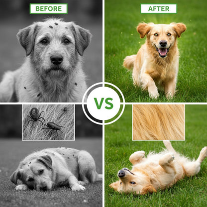 FurLeave™ – True Natural Protection for Your Peace of Mind